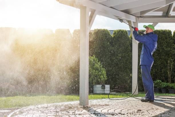 Best Sidewalk and Walkway Cleaning  in Scott Af, IL